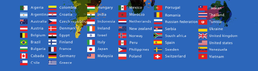 海外网络推广小语种网站建设  第1张