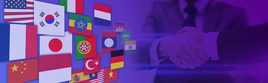 海外网络推广小语种网站建设  第2张